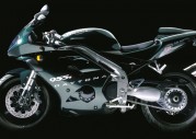 Triumph Daytona 955i Triumph Daytona 955i